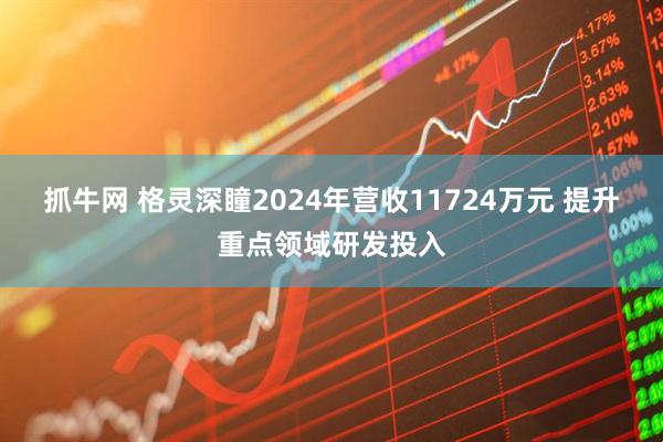 抓牛网 格灵深瞳2024年营收11724万元 提升重点领域研发投入