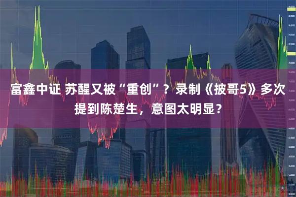 富鑫中证 苏醒又被“重创”?录制《披哥5》多次提到陈楚生,意图太明显?
