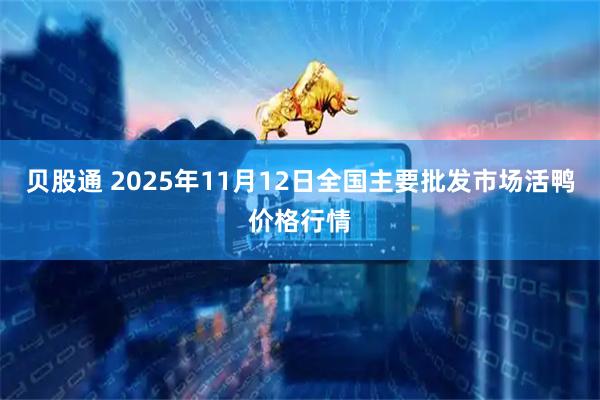 贝股通 2025年11月12日全国主要批发市场活鸭价格行情