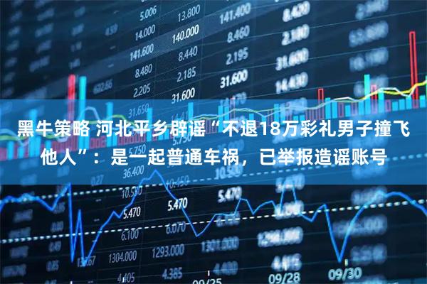 黑牛策略 河北平乡辟谣“不退18万彩礼男子撞飞他人”：是一起普通车祸，已举报造谣账号